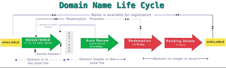 Domain Life Cycle